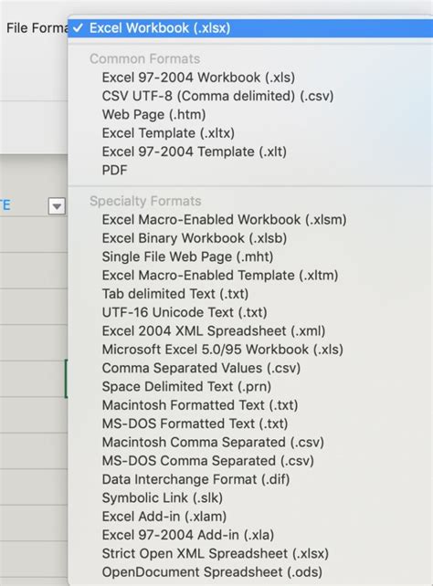 Excel File Extensions: XLSX, XLSM, XLS, XLTX, and .